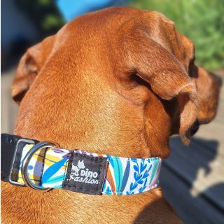 V čem jsou naše softshellové obojky jedinečné? 🐕Pohodlí na prvním místě – softshellový materiál je měkký, příjemný na...